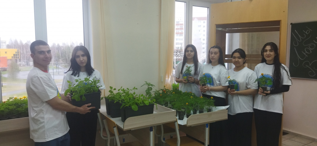 зелень.jpg