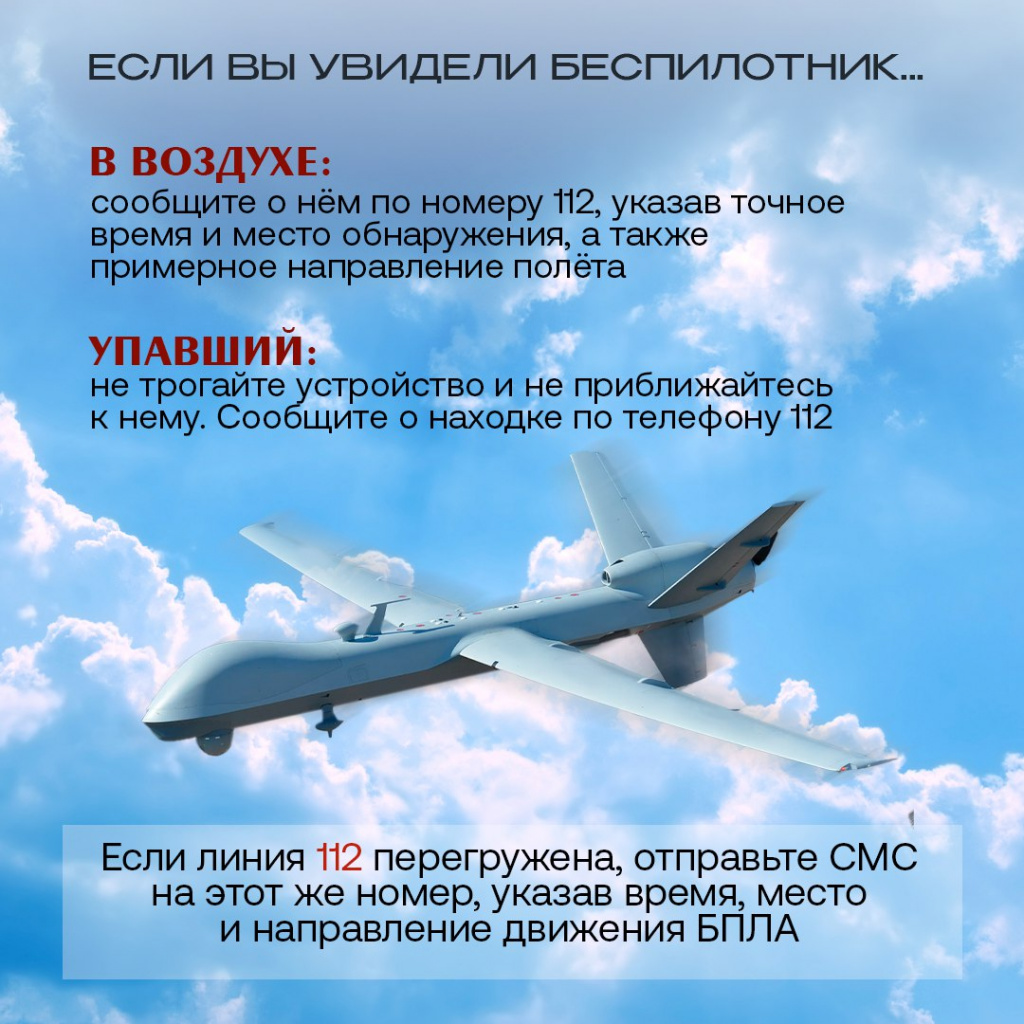 6196335.jpg