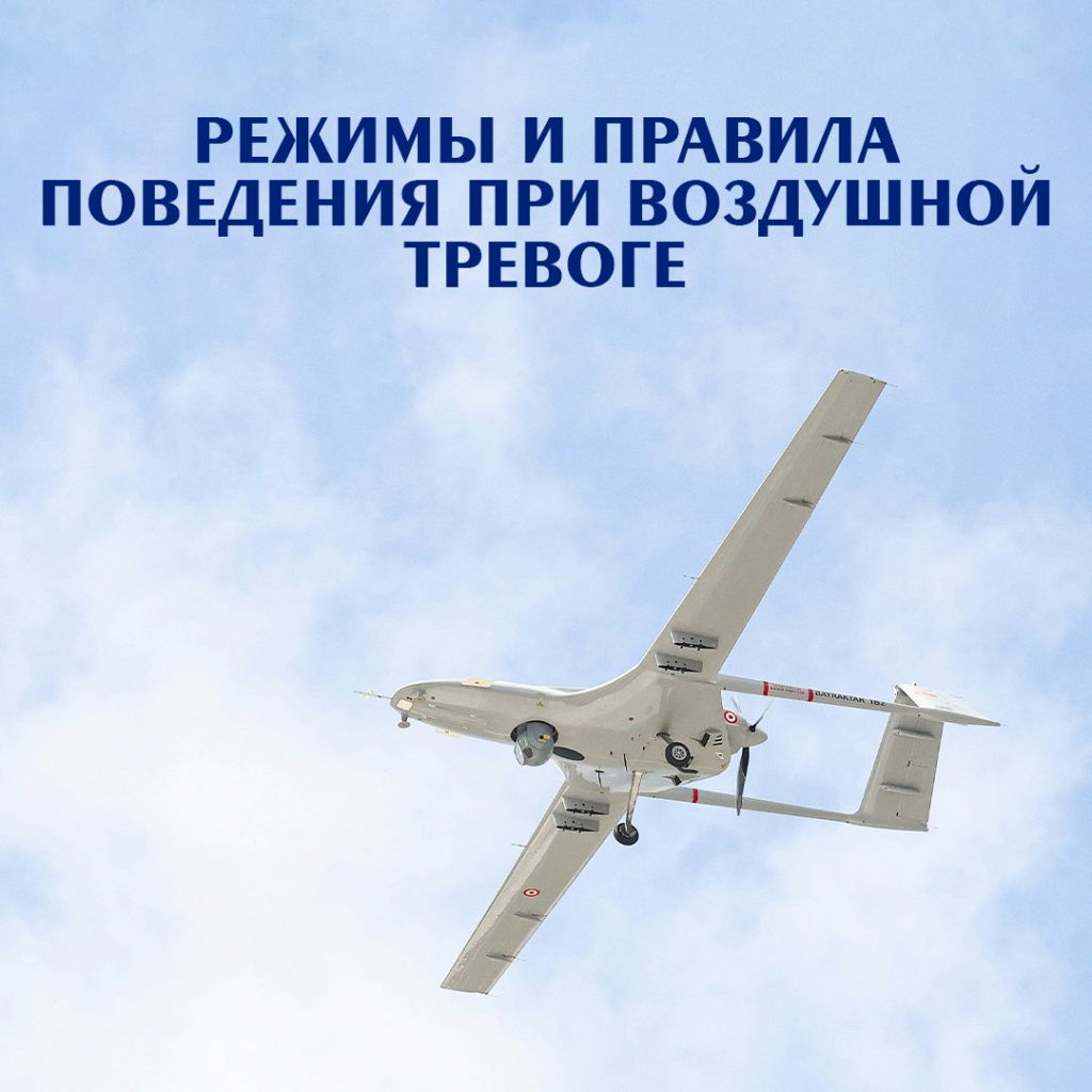 6196331.jpg