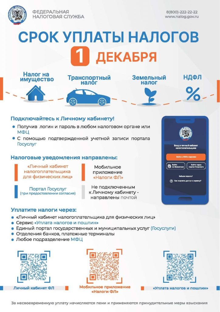 Изображение WhatsApp 2025-11-14 в 10.10.15_a86a7e0a.jpg